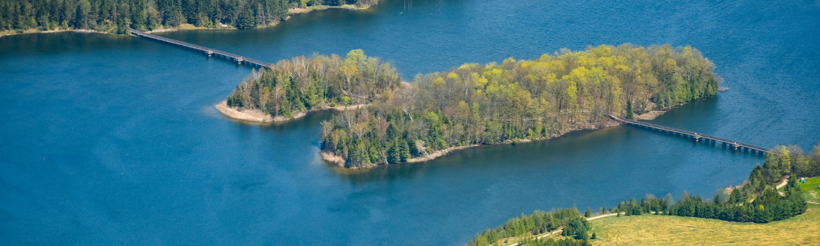 Aerial view of lake with forest